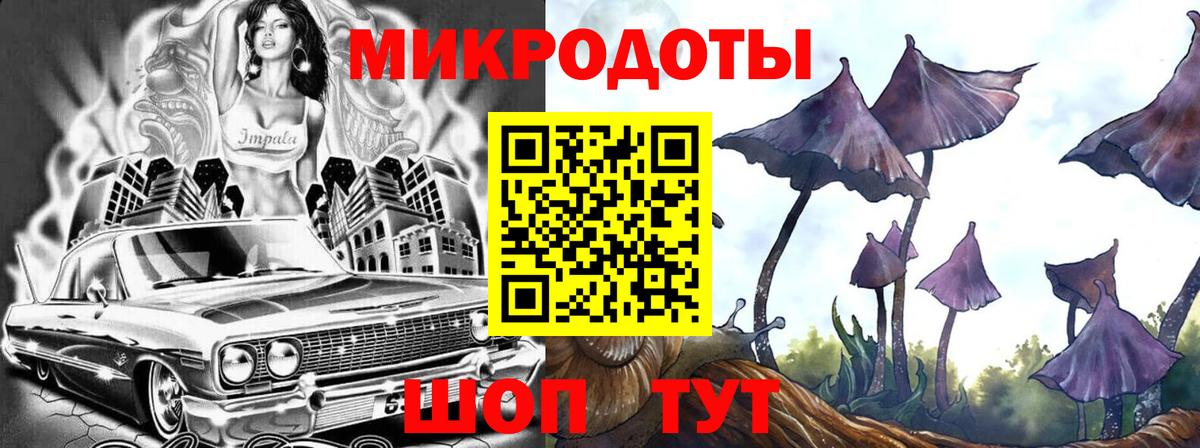 Псилоцибиновые грибы Cubensis  Вход с VPN  Благодарный 